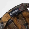 Ashby Cap