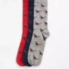 Pheasant Socks Gift Set