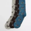 Pointer Dog Socks Gift Box