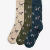 Pointer Dog Socks Gift Box