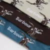 Pointer Dog Socks Gift Box