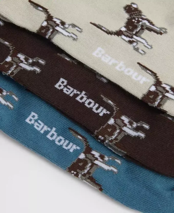 Pointer Dog Socks Gift Box